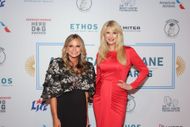 American Humane Hero Dog Awards (Image via Getty)